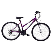 Arden mountain bike