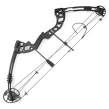 SHARROW compound bow
