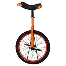 SSZY unicycle