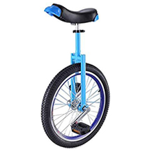 ZWH unicycle